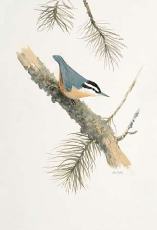 Bird in Grey Canvas Art - Arnie FISK (20 x 28)