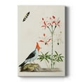 thumbnail image 1 of Bird in Habitat I Premium Gallery Wrapped Canvas - Ready to Hang, 1 of 9