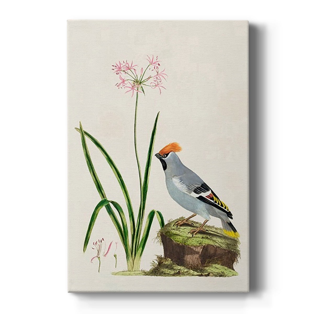 Bird in Habitat II Premium Gallery Wrapped Canvas - Ready to Hang