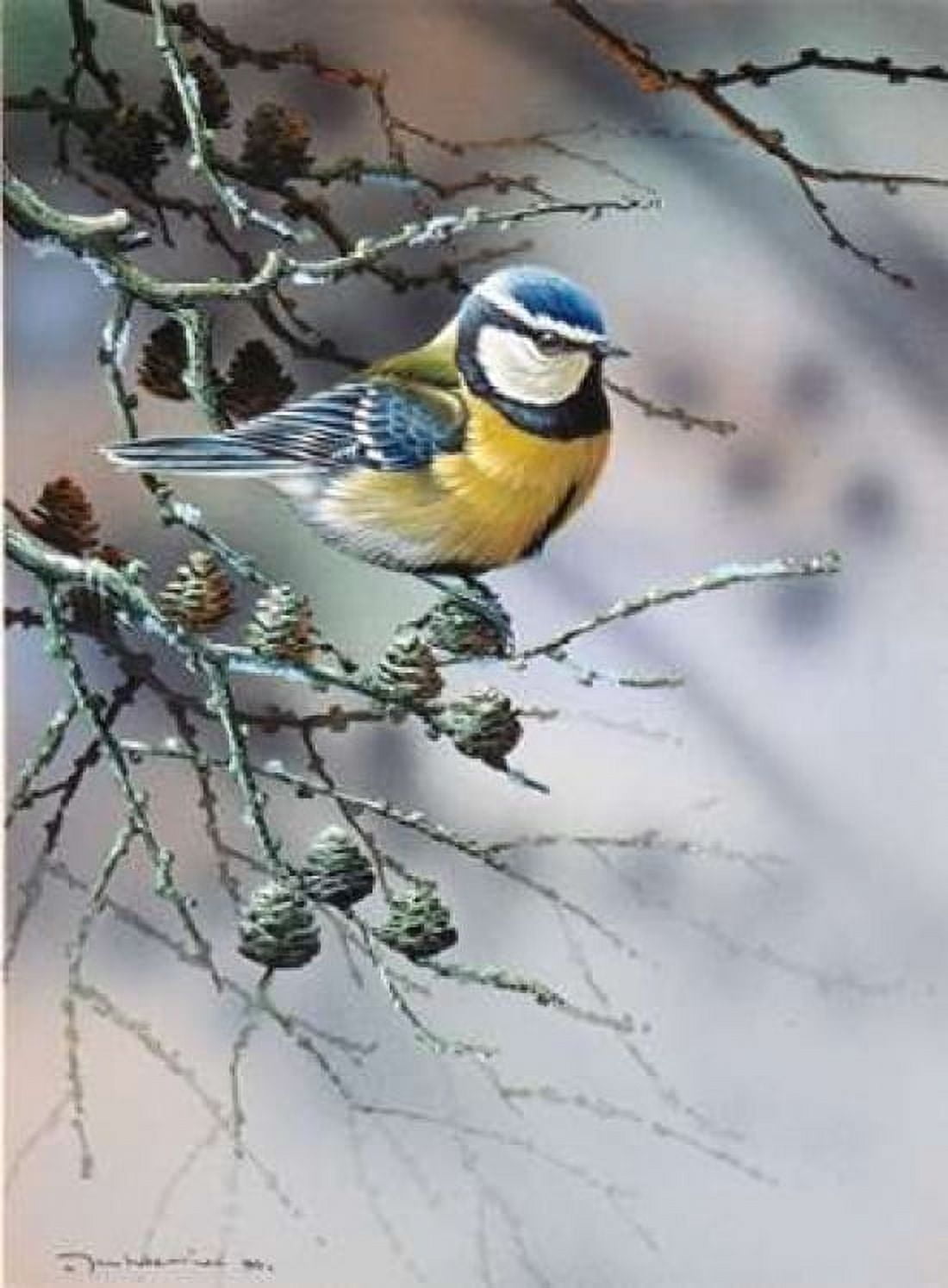 Bird in fir-tree Canvas Art - Jan Weenink (18 x 24)