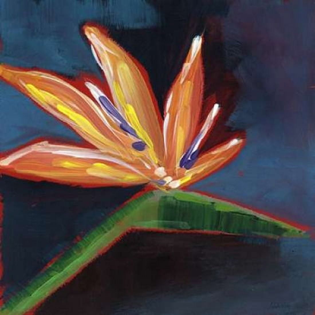 Bird of Paradise Canvas Art - Linda Woods (24 x 24)