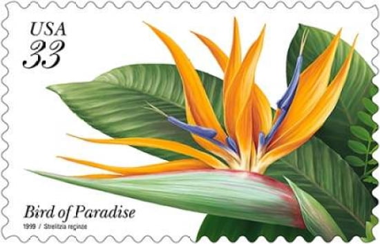 Bird of Paradise Canvas Art - US POSTAL SERVICE (24 x 36)