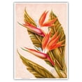 thumbnail image 1 of Bird of Paradise Flower - Hawai’i - Vintage Hawaiian Airbrush Art by Ted Mundorff c.1940s - Master Art Print 10in x 14in, 1 of 4