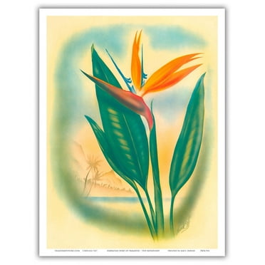 Bird of Paradise - Hawai’i - Vintage Hawaiian Airbrush Art by Ted Mundorff c.1940s - Master Art Print (Unframed) 9in x 12in