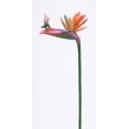 thumbnail image 1 of Bird of Paradise with Fairy Flitty Statue Figurine in Window Gift Box, 1 of 2