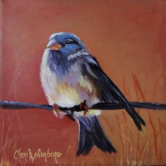 Bird on a Barb Canvas Art - Cheri Wollenberg (24 x 24)