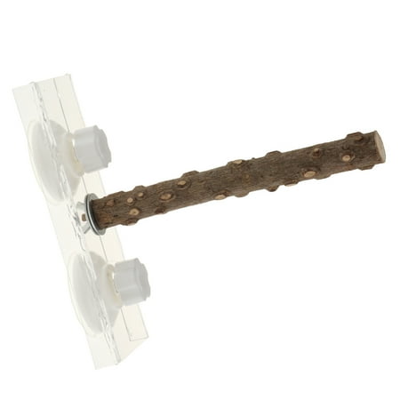 Bird perch window with two powerful suction cups 25cm