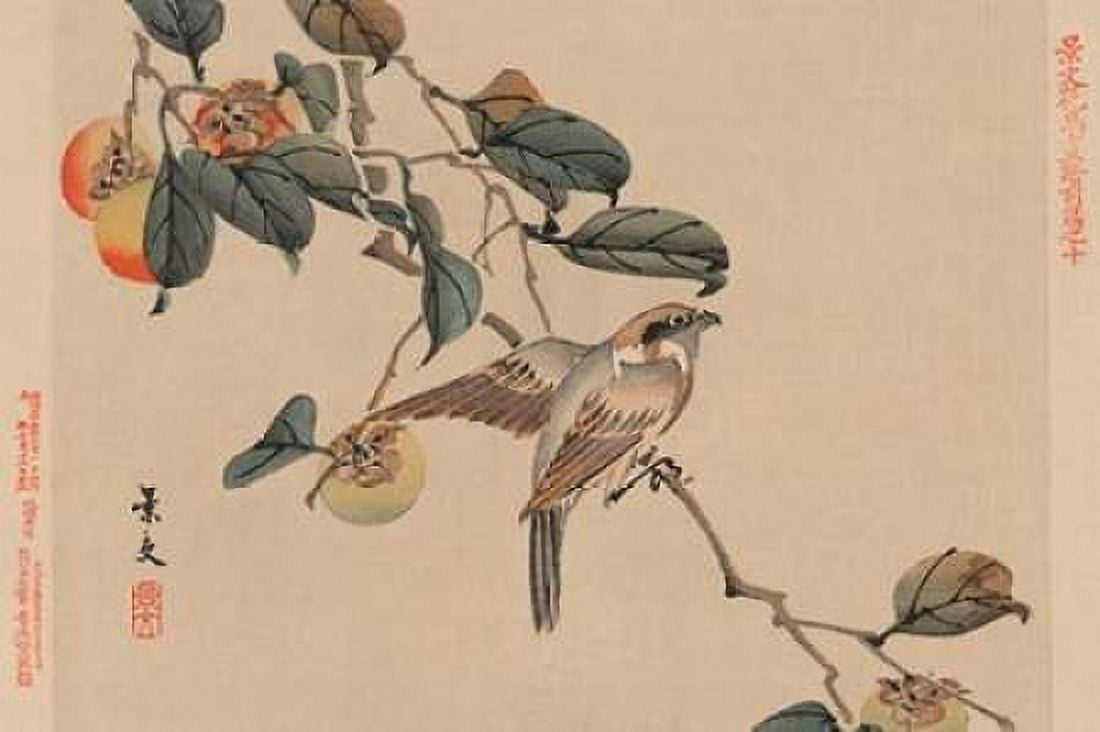 Bird perched on a branch from a fruit persimmon tree 1892 Canvas Art - Keibun Matsumura (24 x 36)