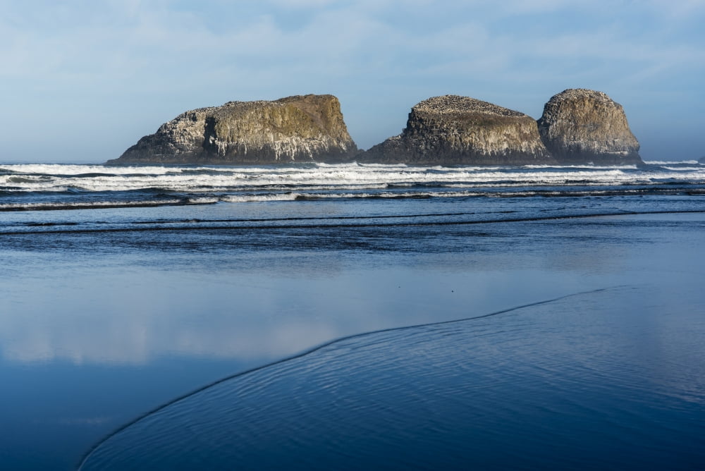 Bird rocks are found at Ecola State Park Cannon Beach Oregon United States of America Canvas Art - Robert L Potts  Design Pics (19 x 12)