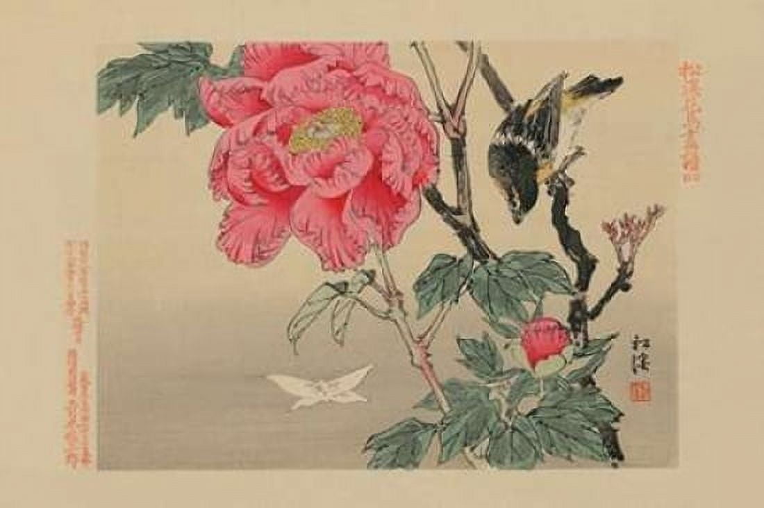 Bird watching a Butterfly Canvas Art - Unknown (12 x 18)