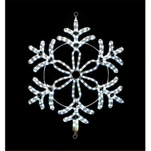 BirdDog SILL-MOSL46 24 x 24 in. Type 2 LED Snowflake Lighted Motif, Cool White