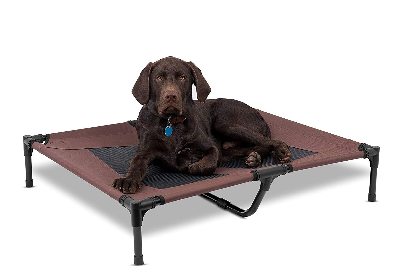 Medium Brown Elevated Orthopedic Dog Cot with Steel Frame