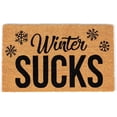 thumbnail image 1 of BirdRock Home Winter Sucks Camera Coir Front Door & Entry Doormat - 18" x 30", 1 of 5