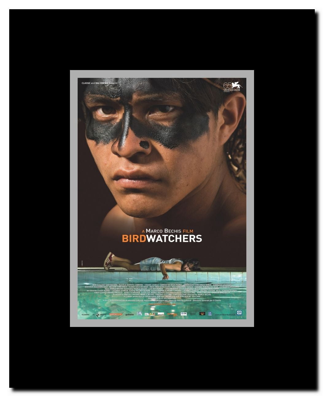 BirdWatchers Framed Movie Poster