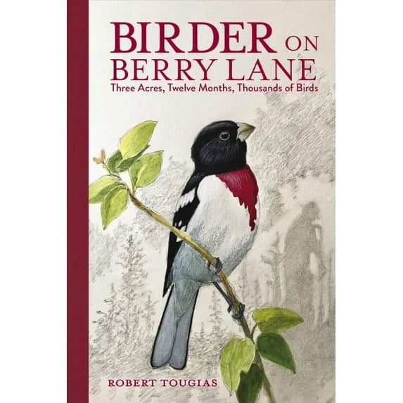 Birder on Berry Lane : Three Acres, Twelve Months, Thousands of Birds (Hardcover)