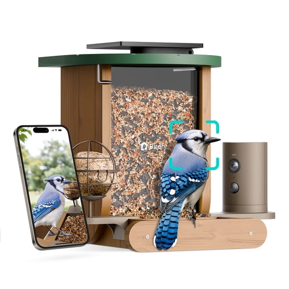 Birdfy Smart Bird Feeder with Camera, 1080P HD Bird Feeder Camera with AI Bird Identification, Solar Powered, Motion Detection & Real-Time Alerts, Suet Ball Holder for Outdoor Birdwatching