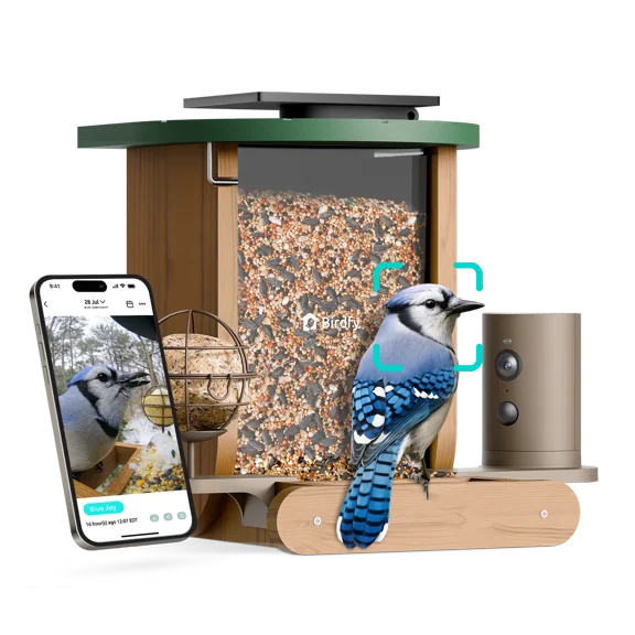 Birdfy Smart Bird Feeder with Camera, 1080P HD Bird Feeder Camera with AI Bird Identification, Solar Powered, Motion Detection & Real-Time Alerts, Suet Ball Holder for Outdoor Birdwatching