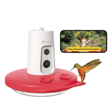 Birdfy Humming Bird Feeder with Camera, 1080P FHD Hummingbird Feeder Camera with Ant Moat, 9000 mAh rechargeable bird camera, AI Identify Bird Species, Leak Proof, Ideal Gift