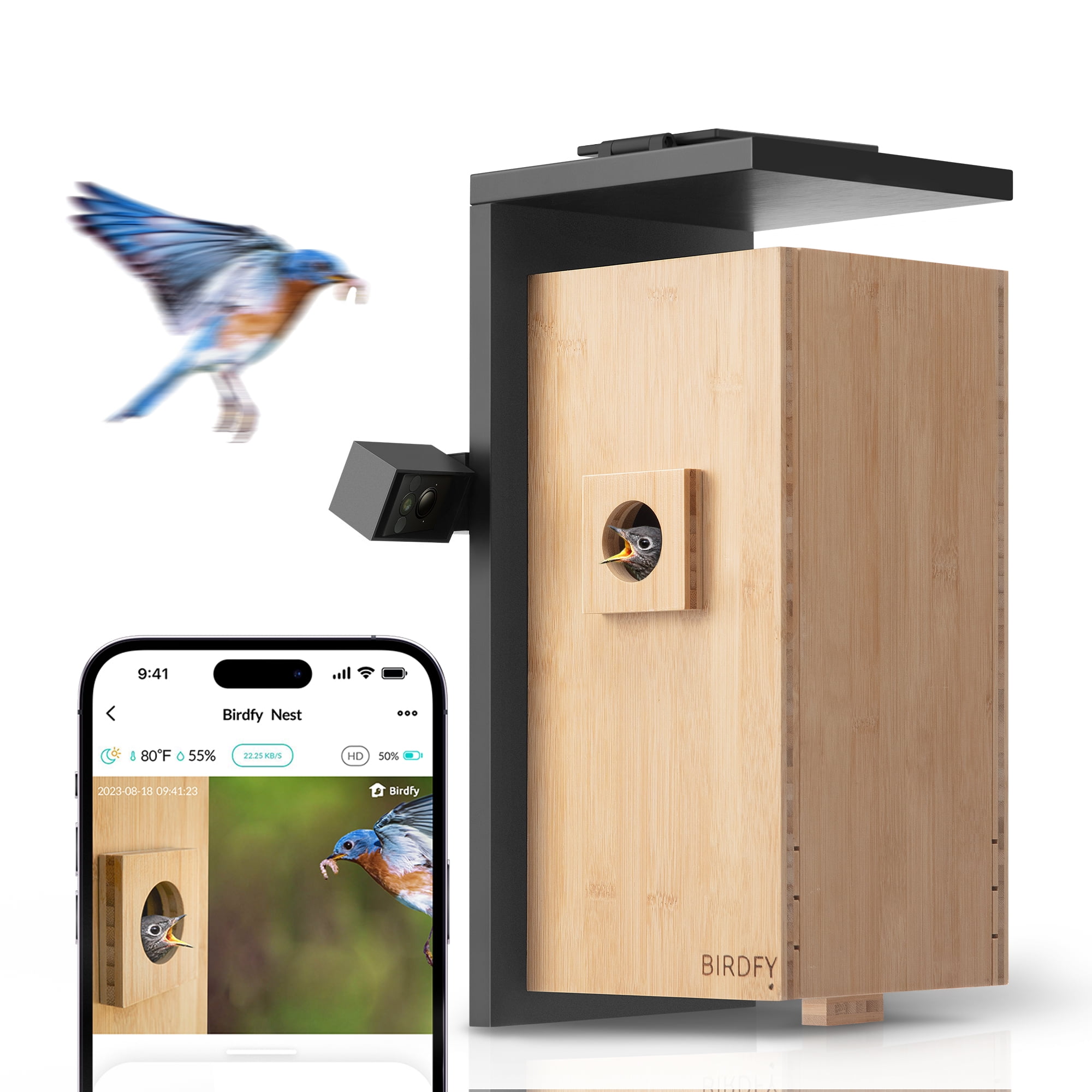 Wildbird bamboo 2025