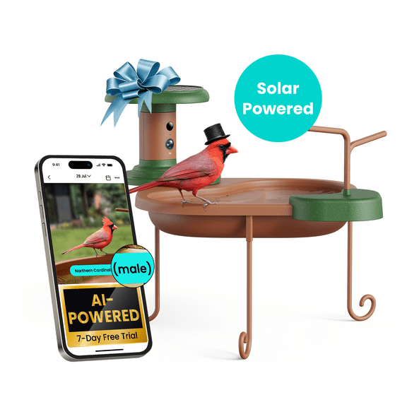 Birdfy Smart Bird Bath with Camera Solar Powered, AI Identify, Live View, Instant Notify, Ideal Gift for Bird Lovers
