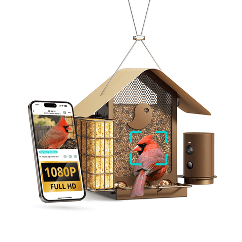 Birdfy Smart Bird Feeder with Camera, 1080P HD 60FPS Video, AI Bird Identification Lifetime Free, Solar Powered, Night Vision, Metal Bird Feeder, Gift for Bird Lovers, Metal V AI