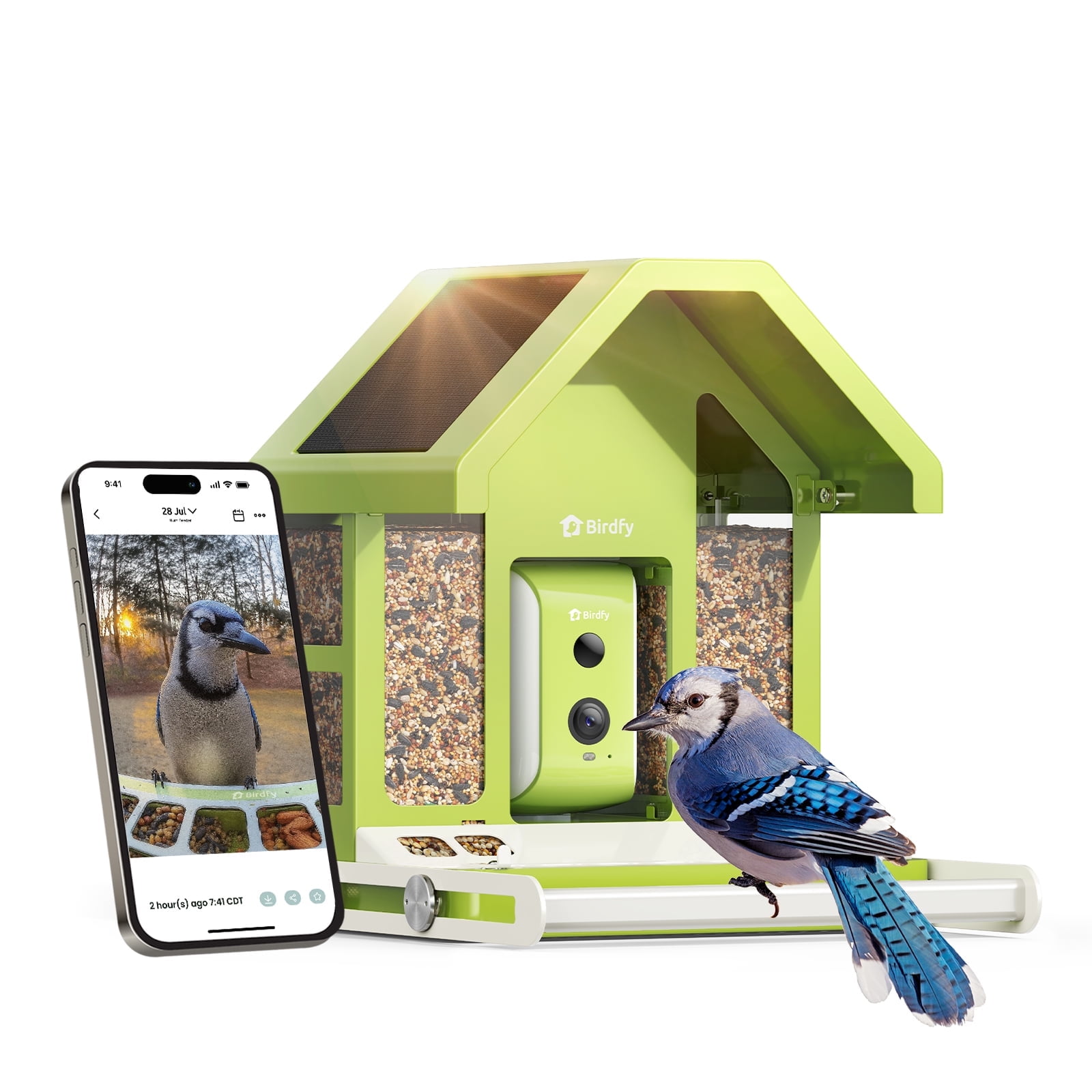 Free Shipping! Birdfy Smart Bird Feeder with Camera, Holds 2.5L, AI Bird Identification, Metal Build