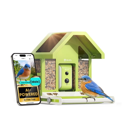 Birdfy Smart Bird Feeder with Camera, AI Bird Identification, Auto Visits & Notifications, Free App, Metal Build – Holds Up to 2.5L Bird Seed, Ideal Bird Lover Gift