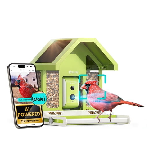 Birdfy Smart Bird Feeder with Camera, Free AI Bird Identification, Auto Visits & Notifications, Free App, Metal Build – Holds Up to 2.5L Bird Seed, Ideal Bird Lover Gift