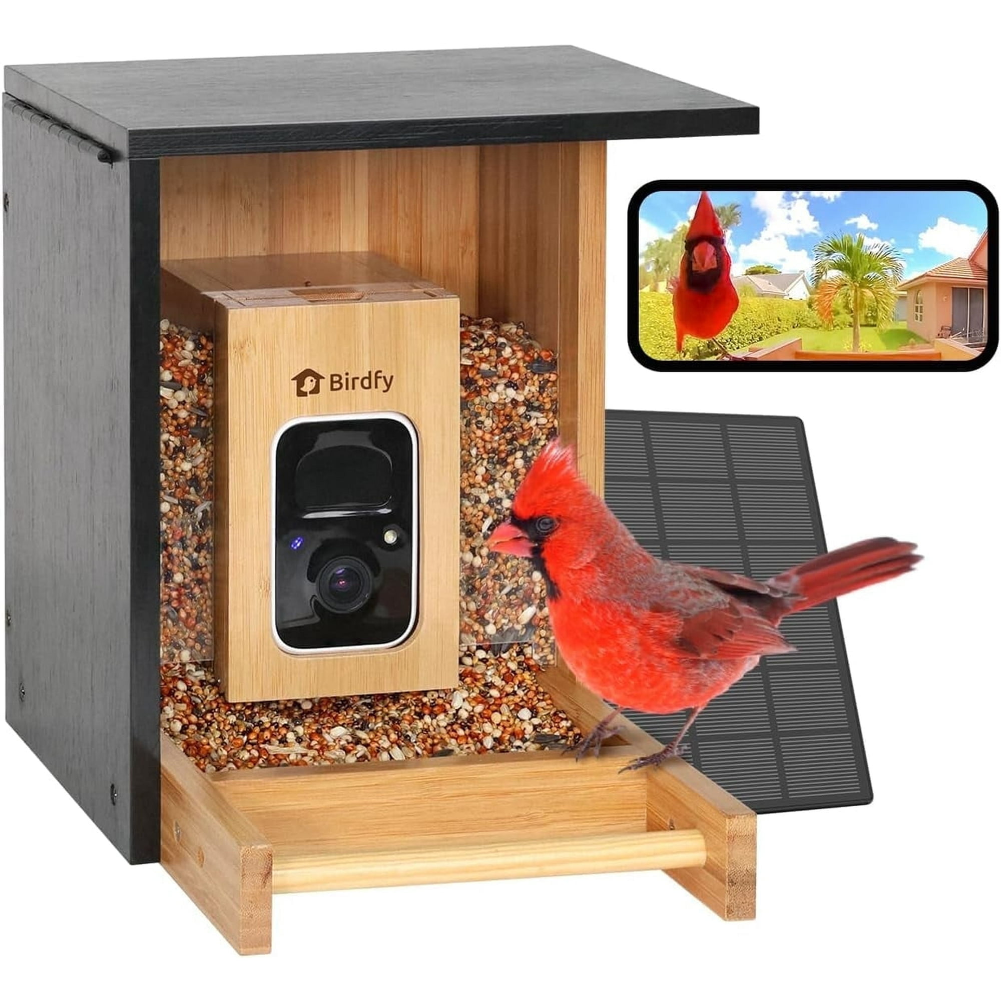 Bird Bath Bird Feeder With Camera,AI Identify Birds Species,Smart