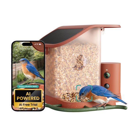 Birdfy Smart Bird Feeder with Camera, AI Identify & Easy Setup, Solar Powered Bird Feeder Camera, Ideal Gift for Entry-Level Bird Lovers, 2026 New Model