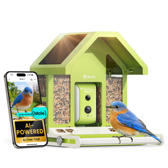Birdfy, Smart Bird Feeder with Camera, 2.5L Seed Capacity - Walmart.com