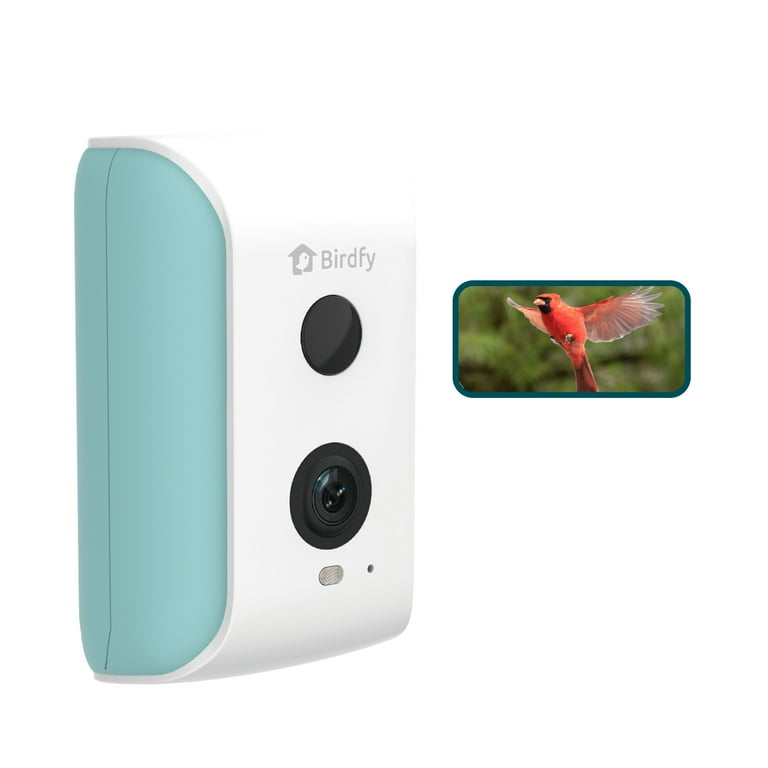 Best Bird Watching Gadgets 