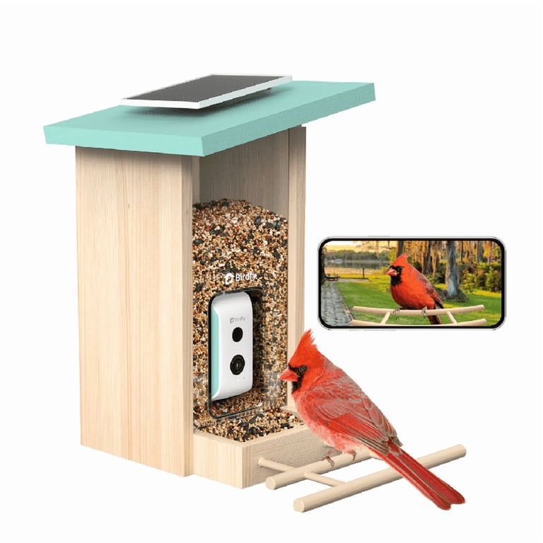 Birdfy Smart Bird Feeder with Camera, AI, Solar, Firwood, Cyan