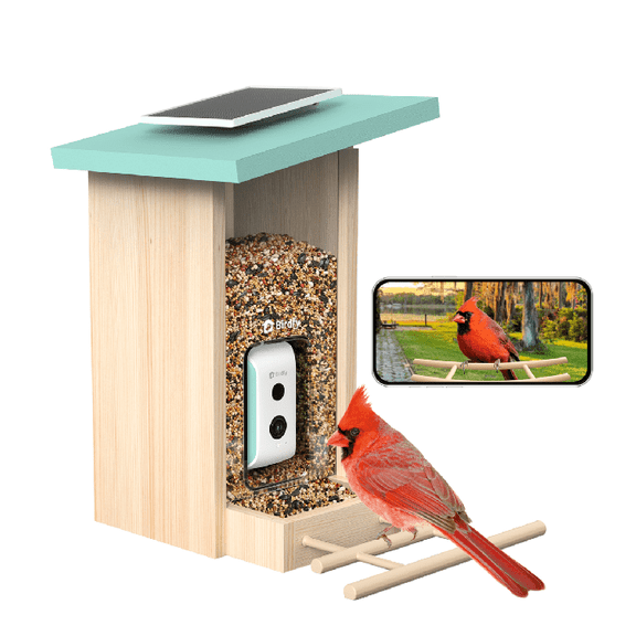 Birdfy Smart Bird Feeder with Camera, AI Identify 6000+ Species, Solar Powered,Eco-friendly Wooden, Ideal Gift, Cyan