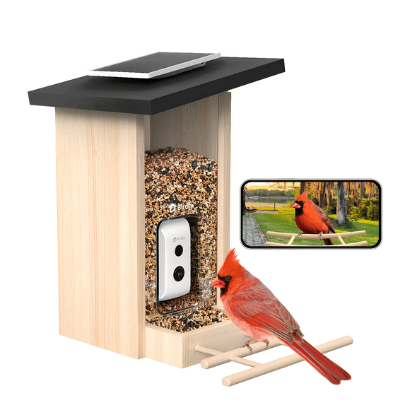 Birdfy Smart Bird Feeder with Camera, Bird Watching Camera with Solar Panel, AI Identify 6000+ Species, Eco-friendly Wooden, Ideal Gift, Ebony