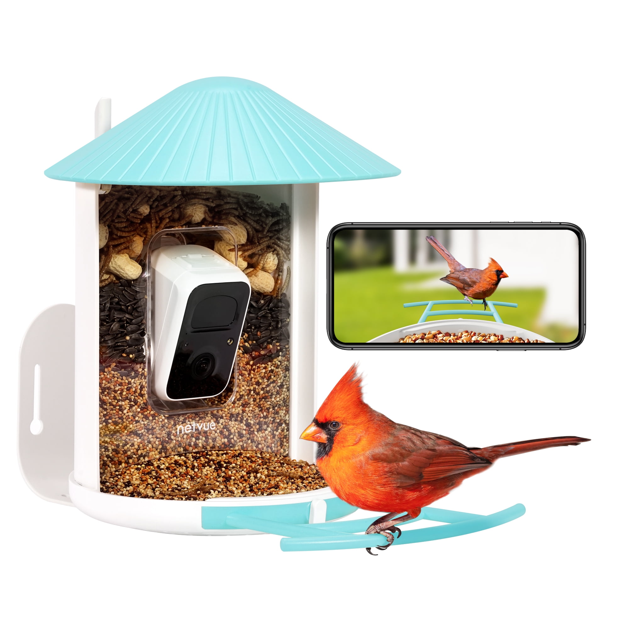 Feit Smart Camera Wild Bird 2.5 L Plastic Bird Feeder 1 p
