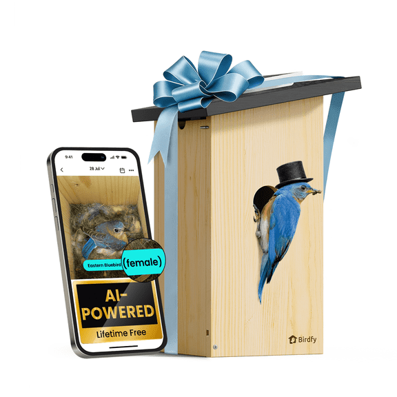 Birdfy Smart Bird Houses for Outside Solar Powered, 1080P HD Live View Bird House with Camera, Perfect Viewing Bird Nesting and Hatching, Bird Feeder with Camera for Most Birds