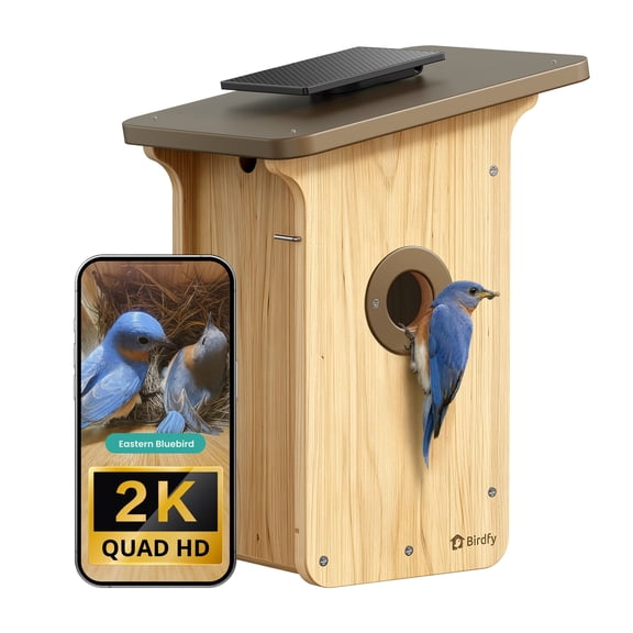 Birdfy Smart Birdhouse with Camera, 2K Bird House Camera with Solar Panel, Upgraded with Metal Protection, Perfect Viewing for Nesting and Hatching, Ideal Gift
