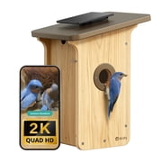 Birdfy Smart Birdhouse with Camera, 2K Bird House Camera with Solar Panel, Upgraded with Metal Protection, Perfect Viewing for Nesting and Hatching, Ideal Gift