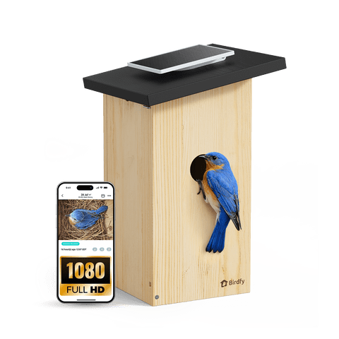 Birdfy Smart Bird Houses for Outside Solar Powered, 1080P HD Live View Bird House with Camera, Perfect Viewing Bird Nesting and Hatching, Bird Feeder with Camera for Most Birds