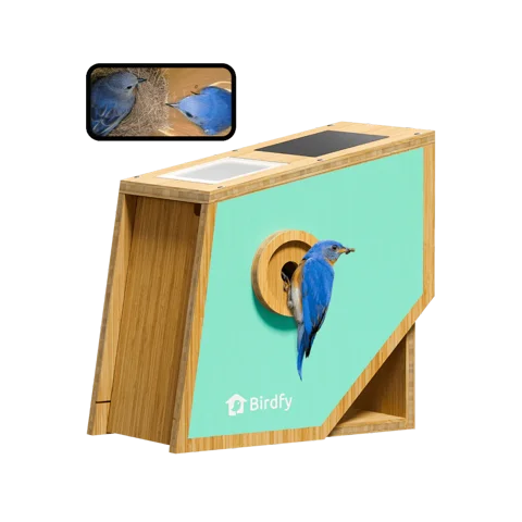 Birdfy Smart Bird Houses for Outside Solar Powered, 1080P HD Live View Bird House with Camera, Perfect Viewing Bird Nesting and Hatching, Bird Feeder with Camera for Most Birds