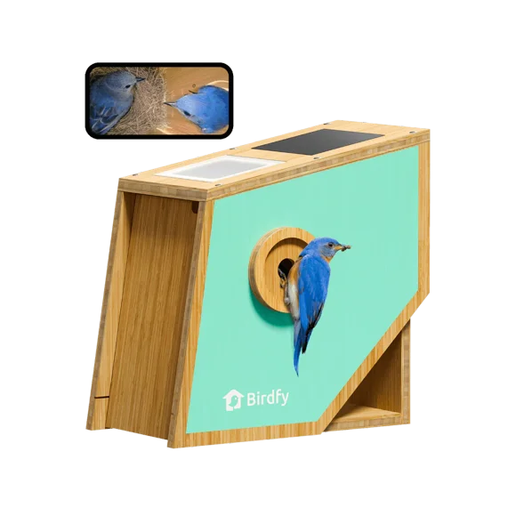 Birdfy Smart Bird Houses for Outside Solar Powered, 1080P HD Live View Bird House with Camera, Perfect Viewing Bird Nesting and Hatching, Bird Feeder with Camera for Most Birds