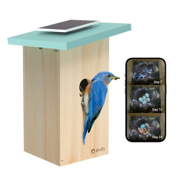 Birdfy Smart Bird Houses With 1080P HD Bird Feeder Camera, Perfect Viewing Bird Nesting and Hatching, Solar Powered, Cyan