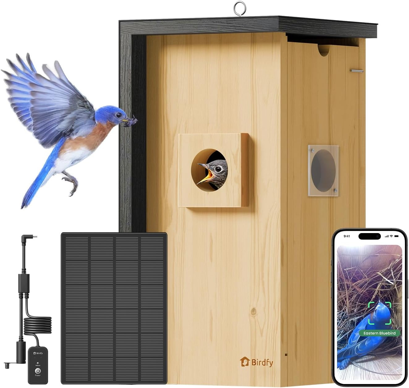 Birdfy Smart Bird Houses With 1080P HD Bird Feeder Camera, Perfect Viewing Bird Nesting and Hatching, solar powered