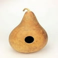 thumbnail image 1 of Birdhouse Gourd Seeds - 200 Count Seed Pack - Non-GMO - a Hard-shelled Gourd That is Often Dried and Used for a Variety of Purposes. - Country Creek Acres, 1 of 1
