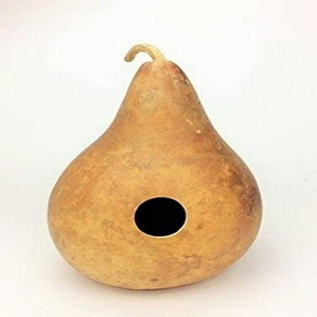 Birdhouse Gourd Seeds - 200 Count Seed Pack - Non-GMO - a Hard-shelled Gourd That is Often Dried and Used for a Variety of Purposes. - Country Creek Acres