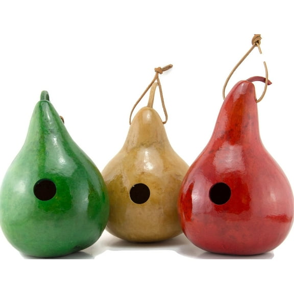 Birdhouse Gourds - Gourd Art - Set of 3 - Green - Natural - Red