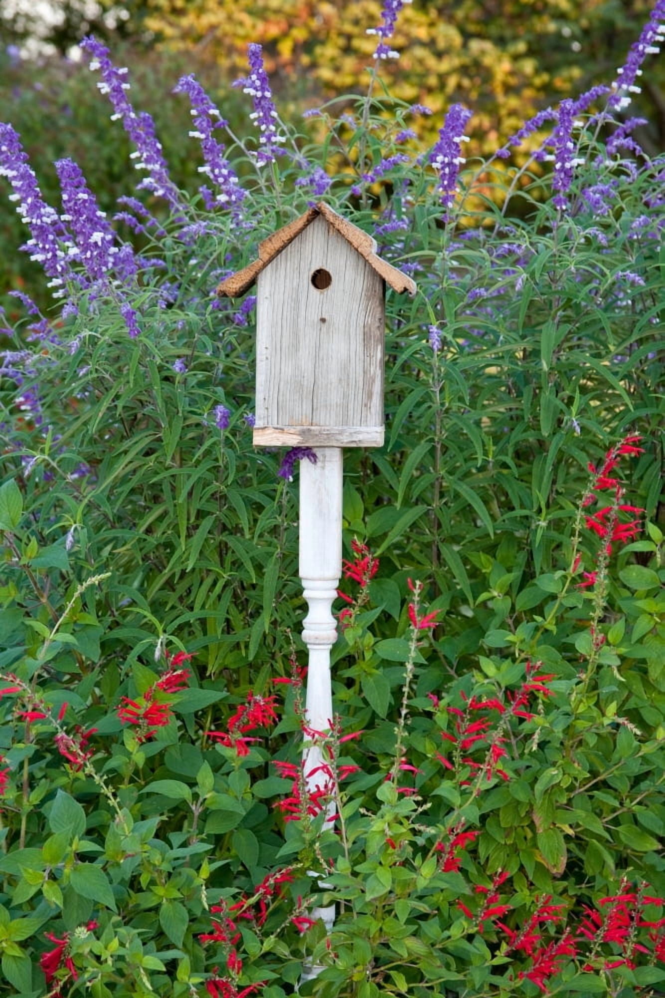 Birdhouse in a garden with Mexican Bush Sage (Salvia leucantha) and Pineapple Sage (Salvia elegans) Marion County Illinois USA Canvas Art - Panoramic Images (18 x 24)