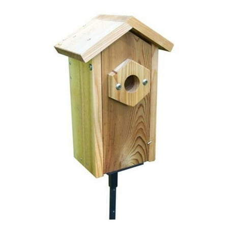 Birdhouse with Viewing Window