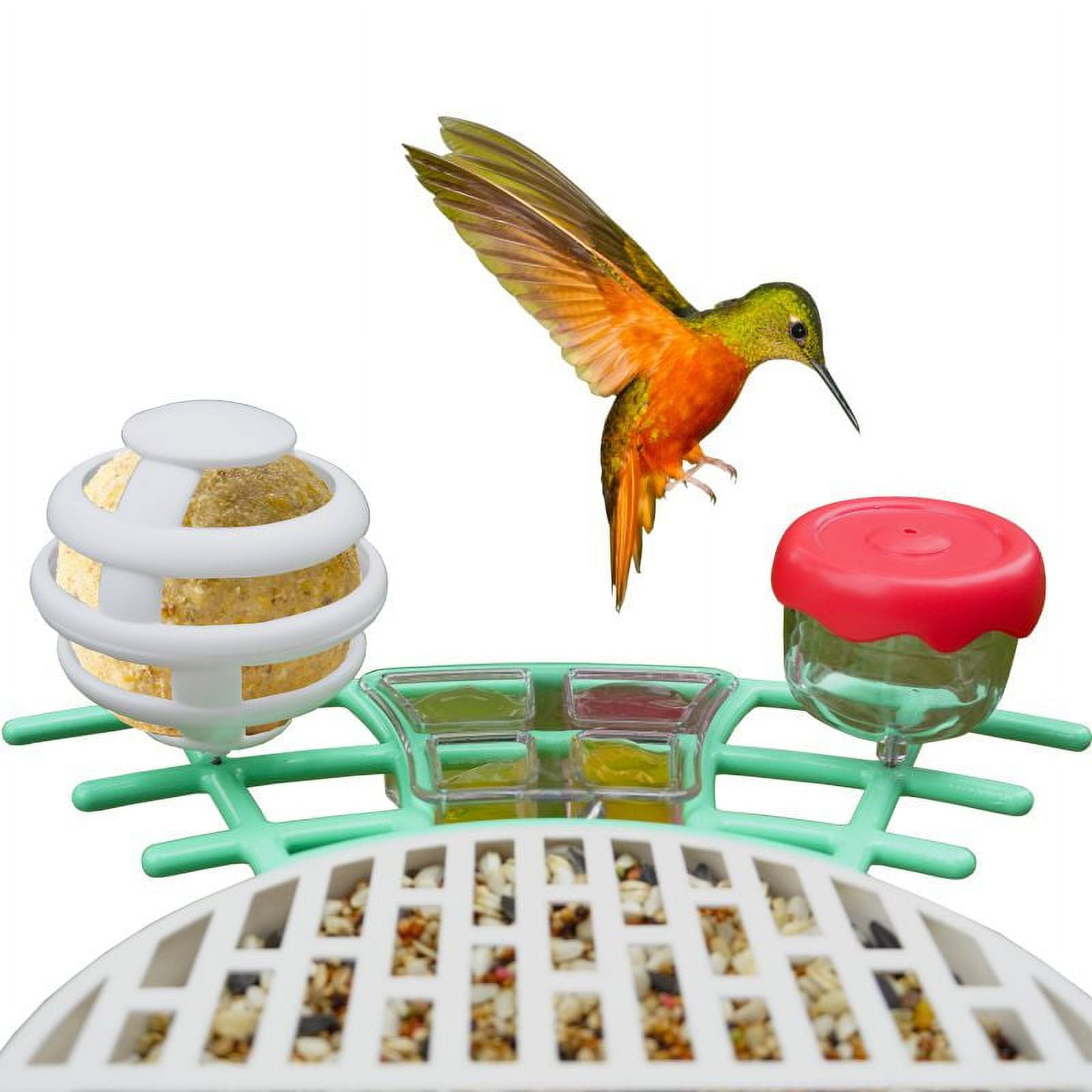 Birdkiss Bird Feeder Camera DIY Add-ons, Including Suet Ball, Mini Hummingbird Feeder, Fruit Holder, Jelly Feeder